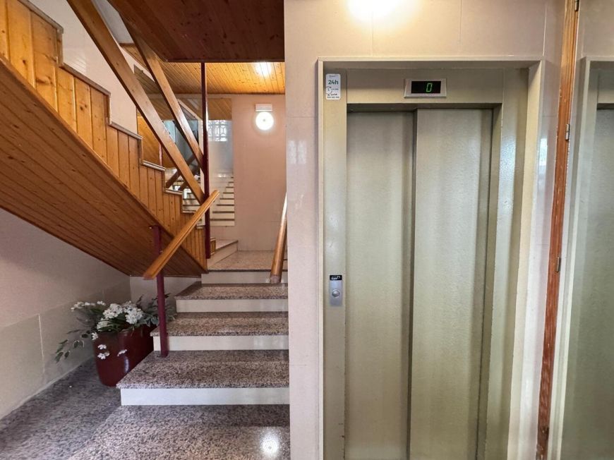 Španělsko Apartmány / byty Torrevieja