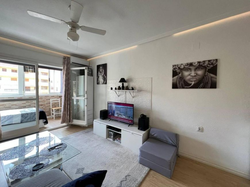 Испания studio torrevieja