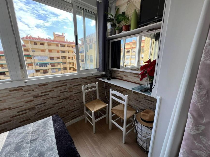 Испания studio torrevieja