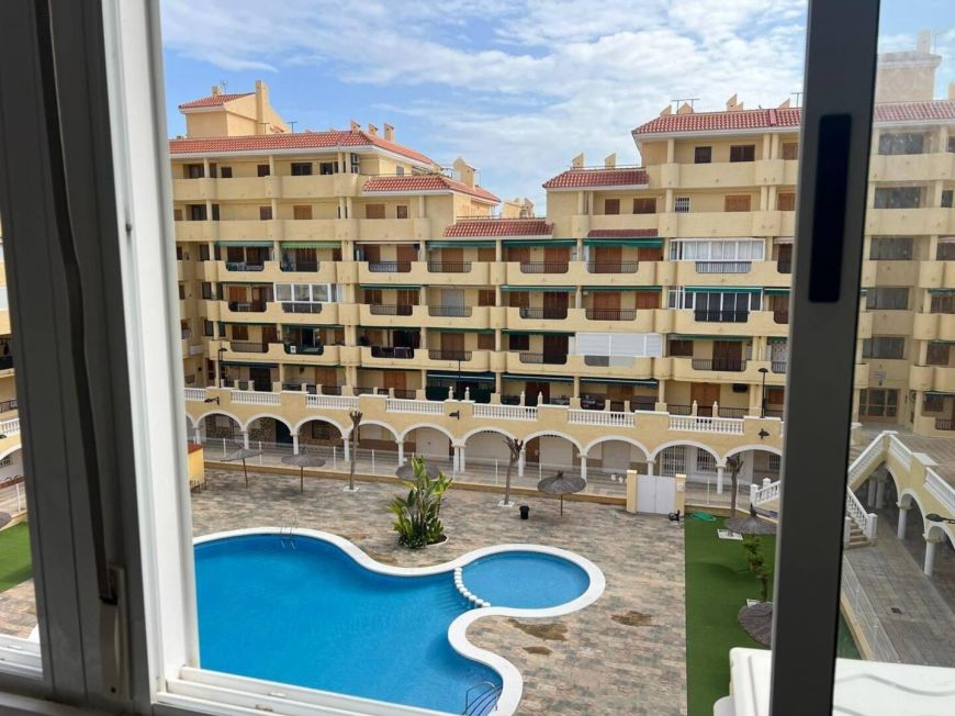 Испания studio torrevieja