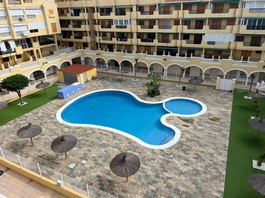 Испания studio torrevieja