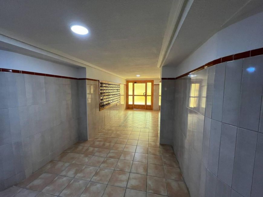 Испания studio torrevieja