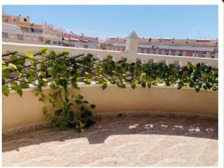 Španělsko Apartmány / byty Torrevieja