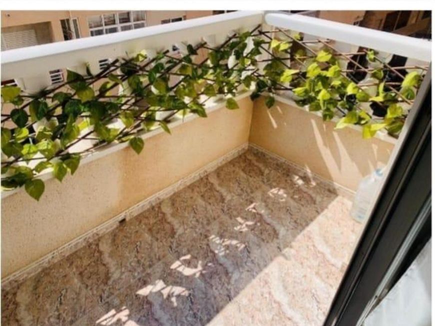 Španělsko Apartmány / byty Torrevieja