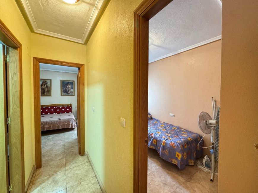Španělsko Apartmány / byty Torrevieja