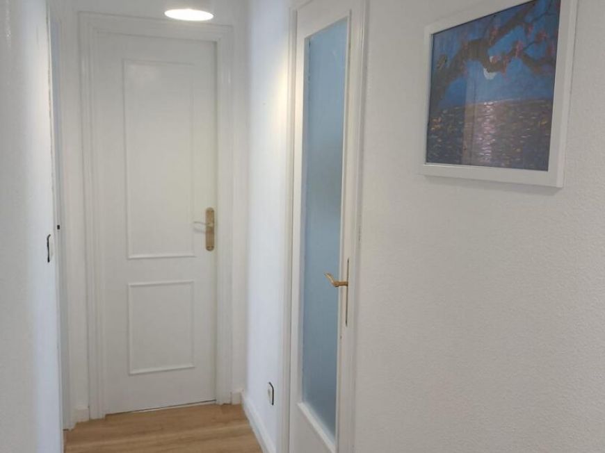 Španělsko Apartmány / byty Torrevieja