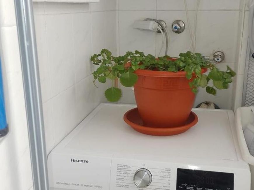 Španělsko Apartmány / byty Torrevieja
