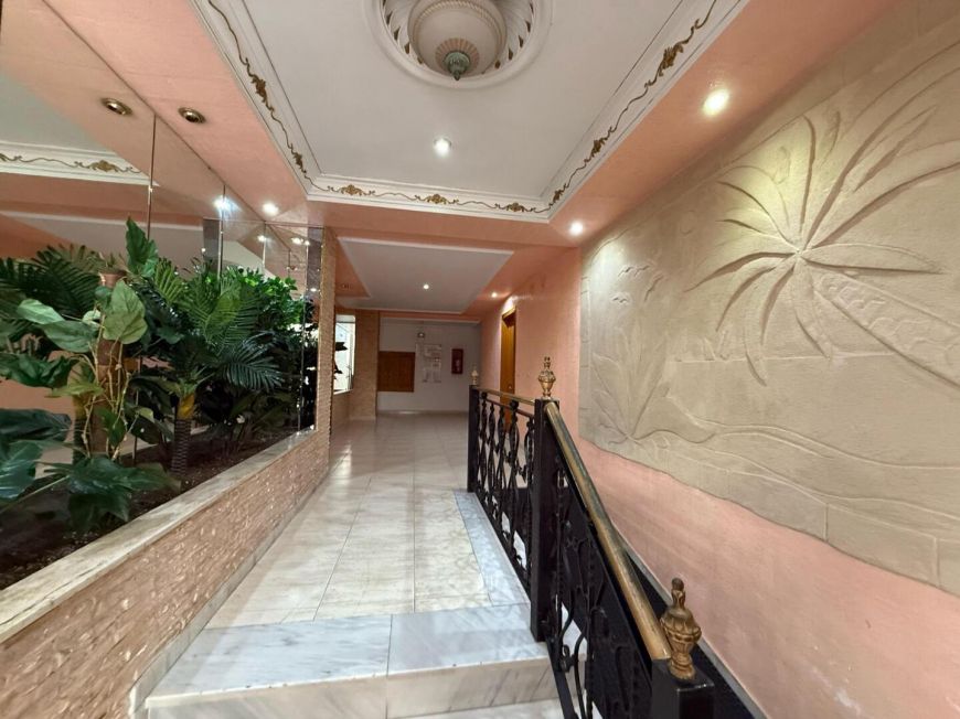 Španělsko Apartmány / byty Torrevieja