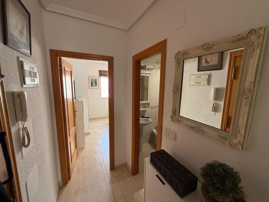 Španělsko Apartmány / byty Torrevieja