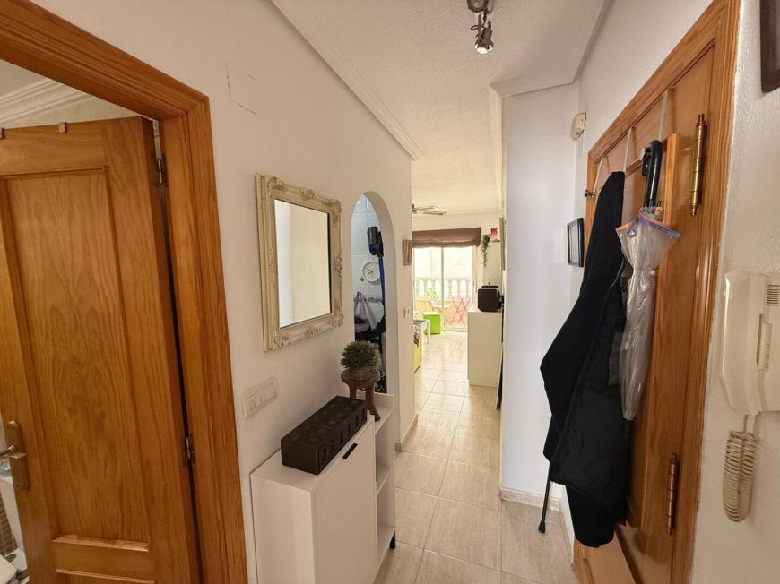 Španělsko Apartmány / byty Torrevieja