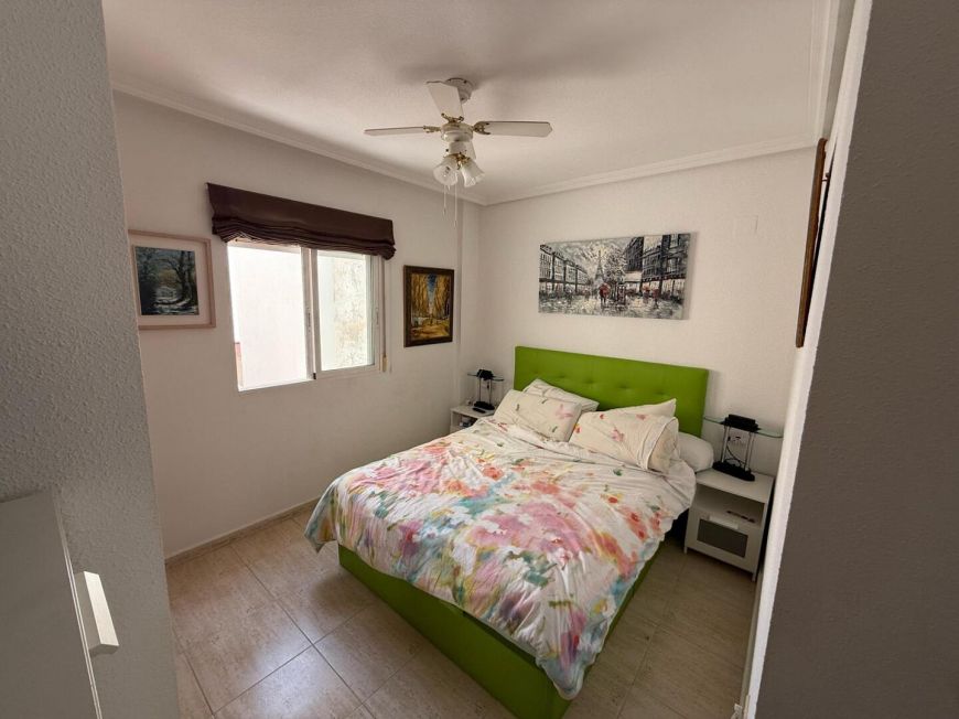 Španělsko Apartmány / byty Torrevieja