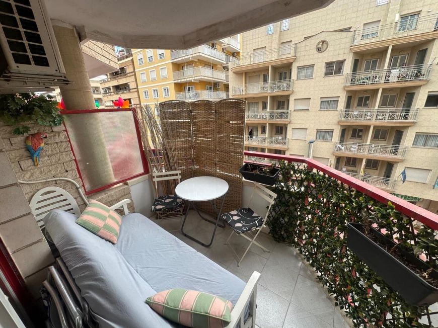 Španělsko Apartmány / byty Torrevieja