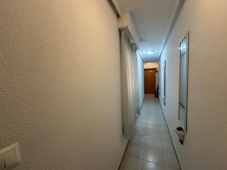 Španělsko Apartmány / byty Torrevieja
