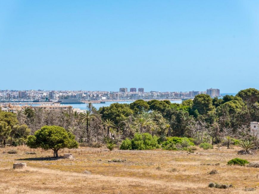 Испания Apartment Torrevieja ALICANTE