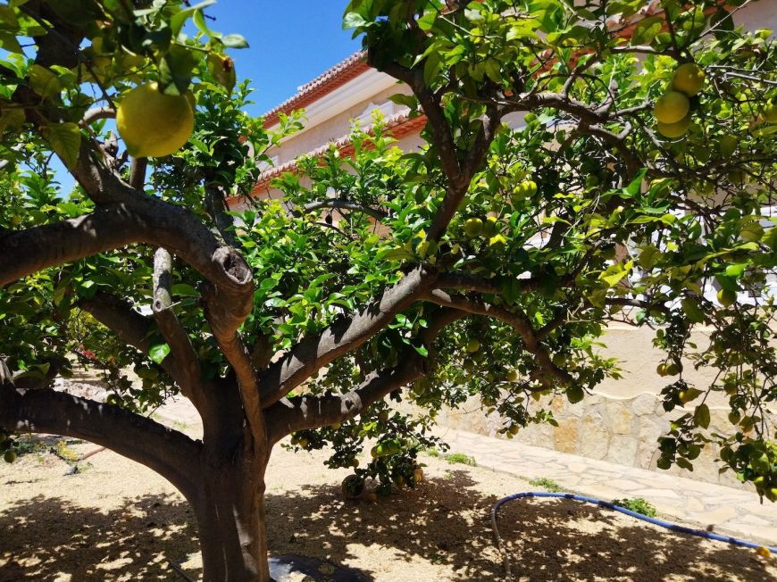 Espanha Villa Calpe Alicante