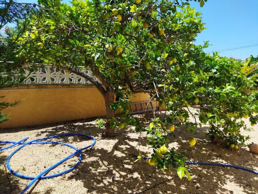 Espanha Villa Calpe Alicante