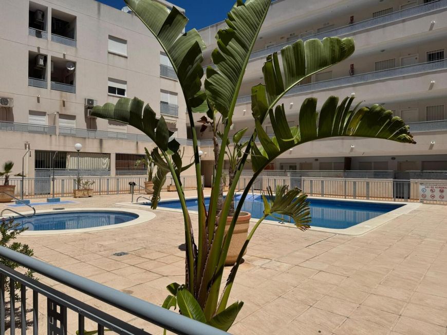 Испания Apartamento Almoradí Alicante
