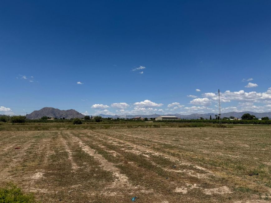 Испания Apartamento Almoradí Alicante