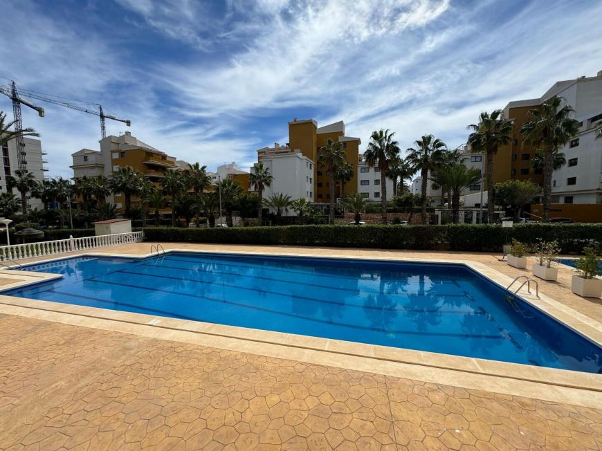 España Apartamento Torrevieja Alicante