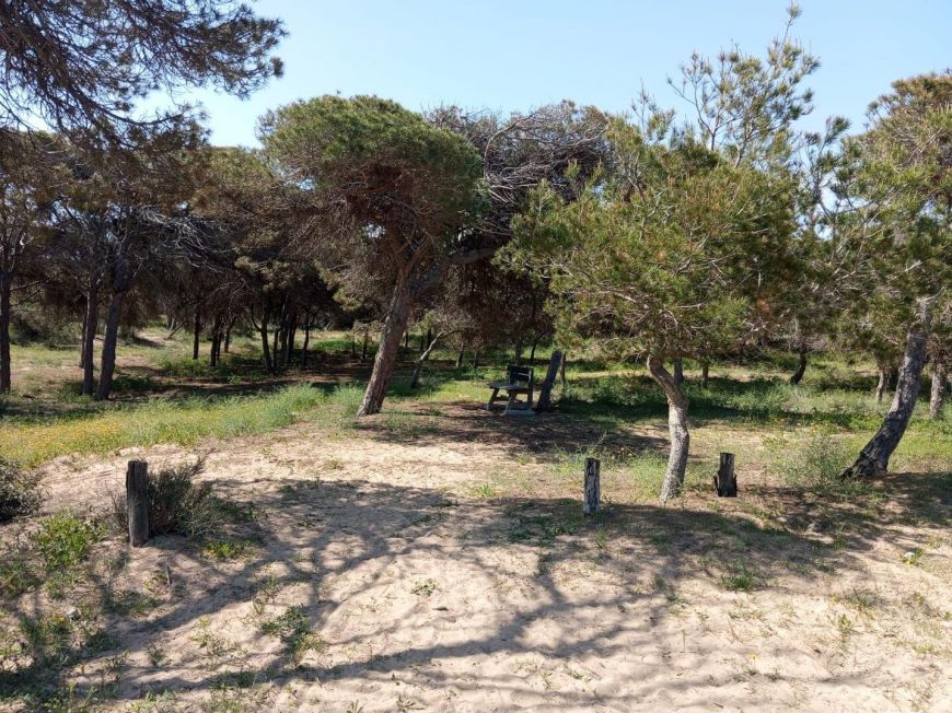 Испания Бунгало на первом этаже в Гуардамар-дель-Сегура