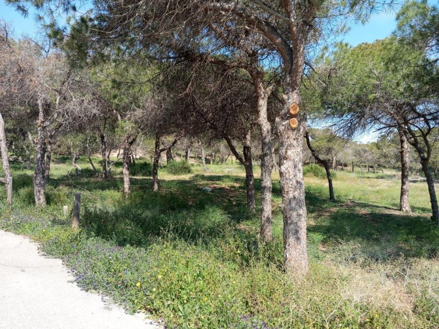 Španělsko Ground floor bungalow in Guardamar del Segura