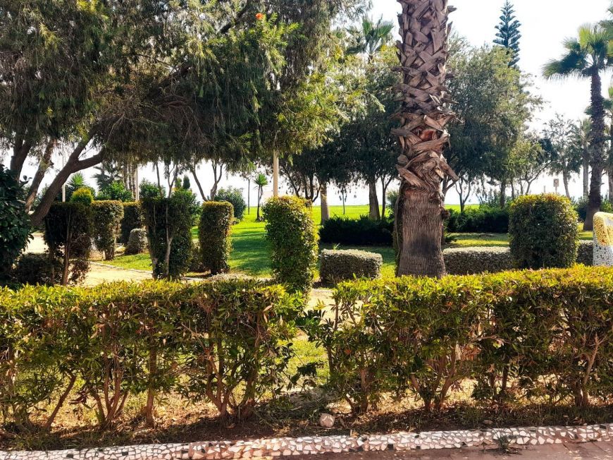 Испания Unique opportunity in Oropesa del Mar! Apartment just 30 meters from the beach.