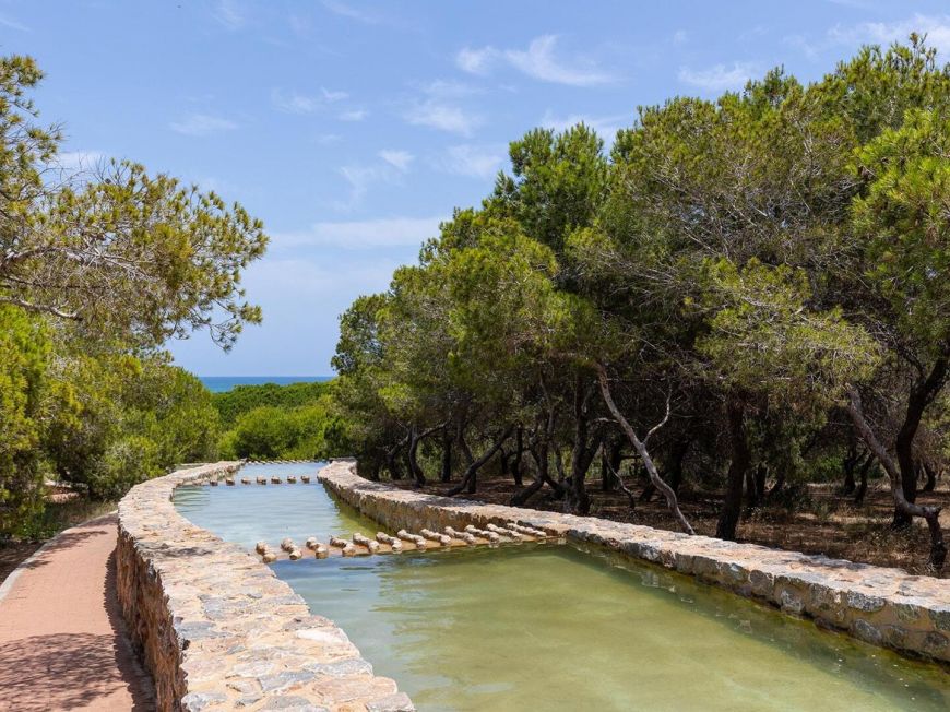 Испания Unique opportunity in the prestigious Parquemar Urbanization, La Mata!