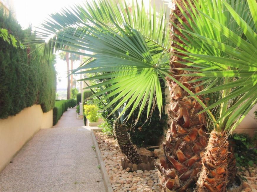 Espanha Apartamento Torrevieja Alicante