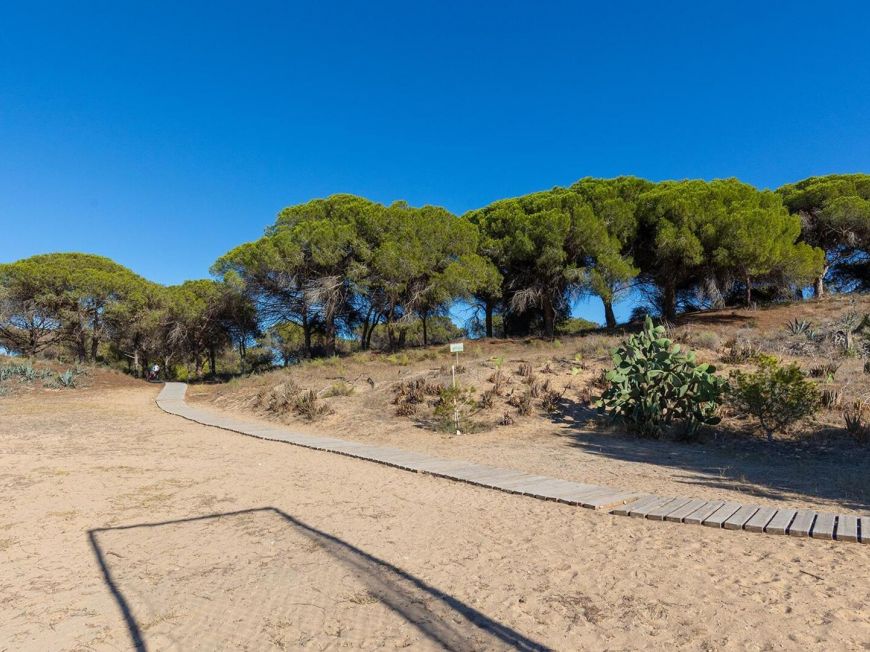 Espagne Fantastique appartement de deux chambres avec vue dégagée sur la pinède