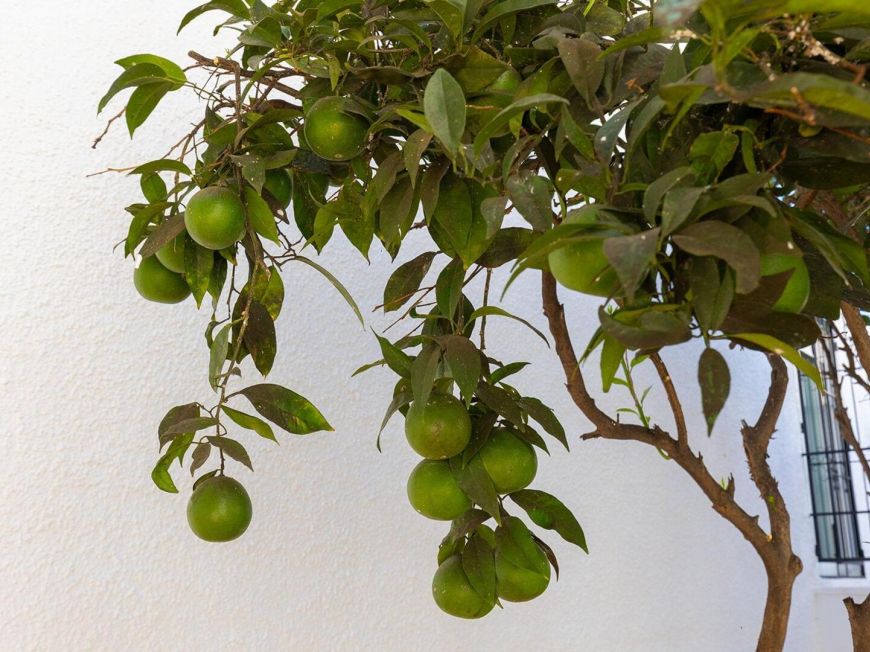 España Oportunidad adosado con garaje y piscina