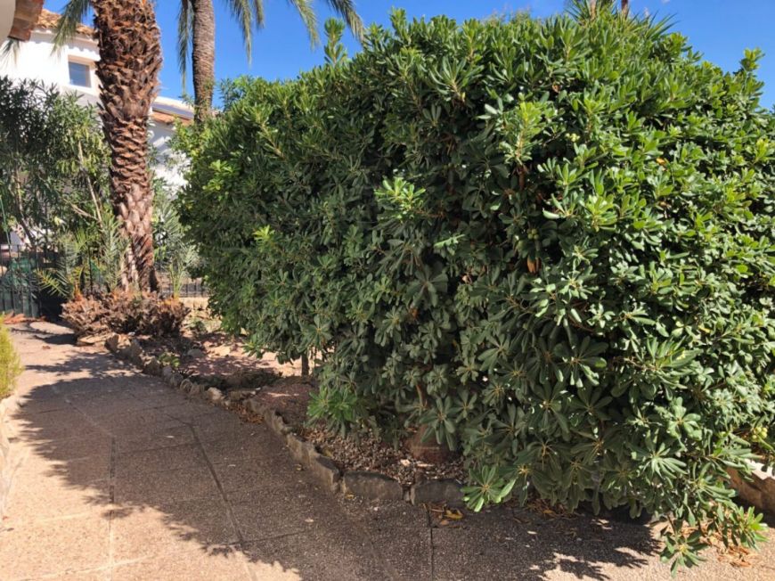 Španělsko Villa Calpe Alicante