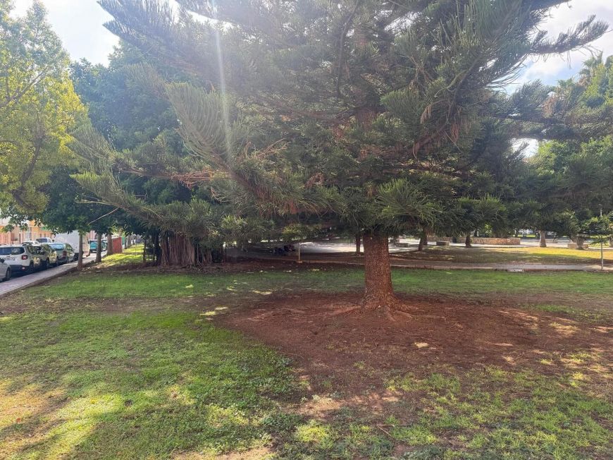 Španělsko Apartamento Torrevieja Alicante