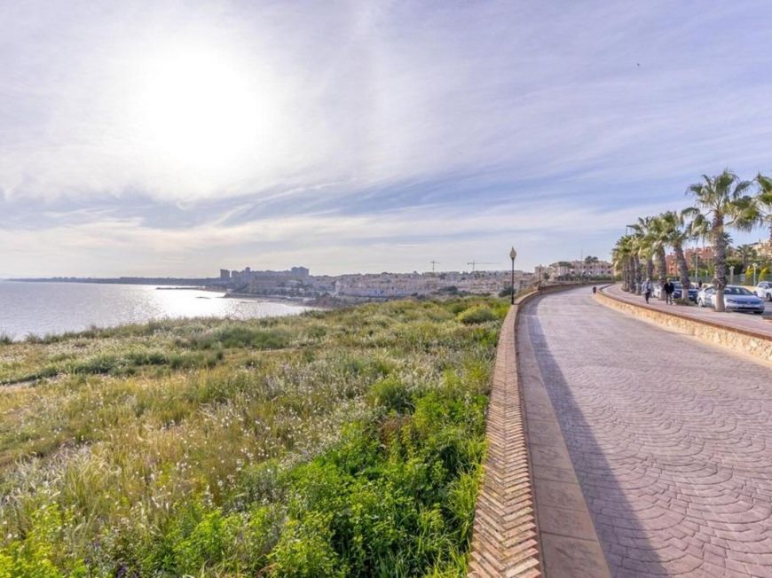 Spain Apartment Orihuela Costa ALICANTE