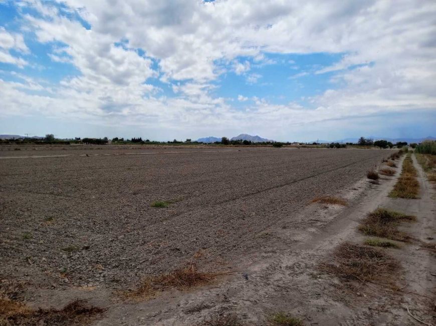 Spanien Plot San Fulgencio Alicante