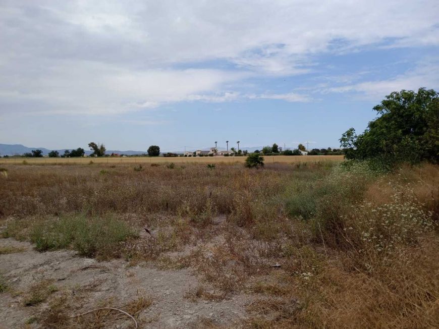 Spanien Plot San Fulgencio Alicante