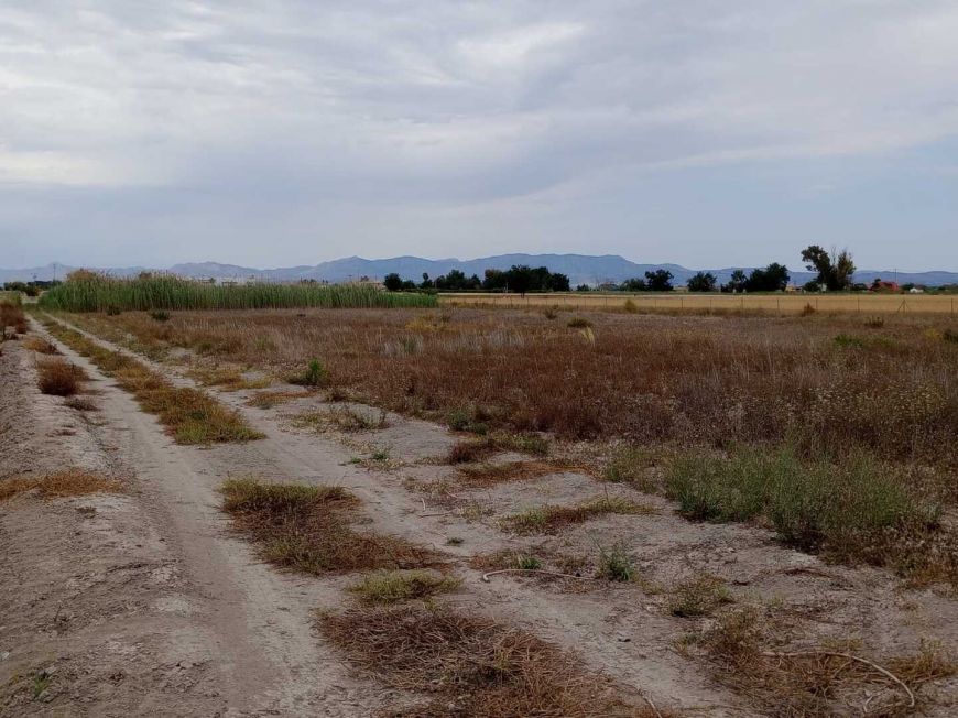 Spanien Plot San Fulgencio Alicante