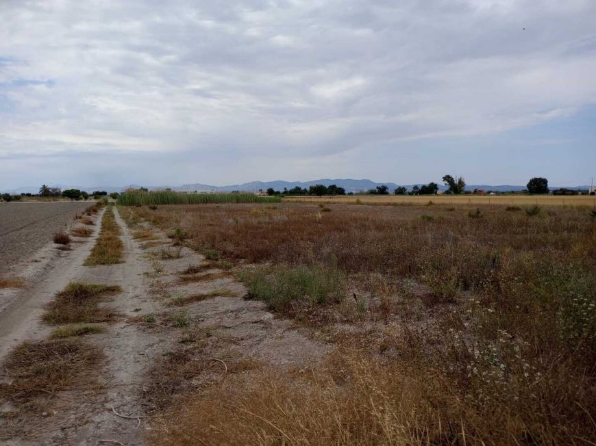 Spanien Plot San Fulgencio Alicante