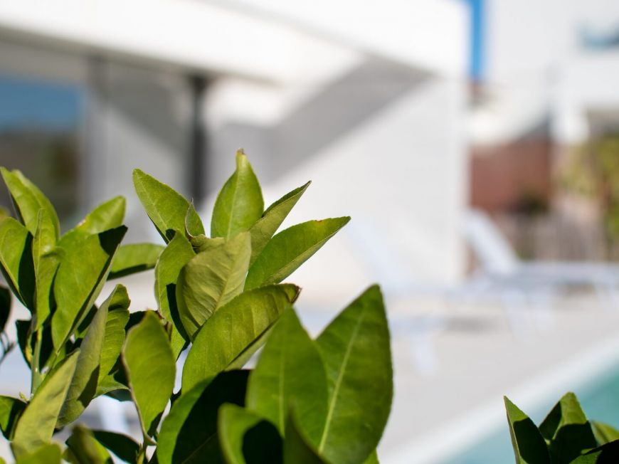 Spanien New construction Los Montesinos Alicante