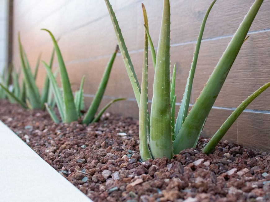 Spanien New construction Los Montesinos Alicante