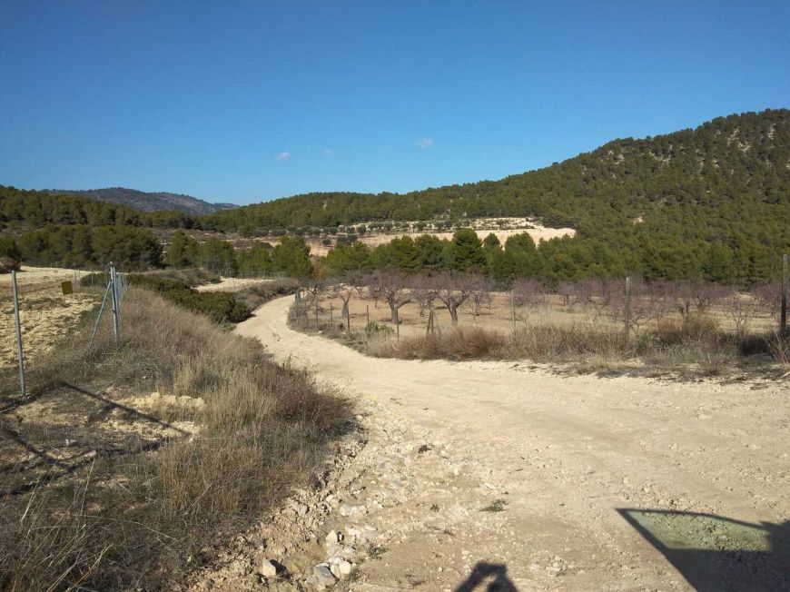 España Country House Bullas Murcia