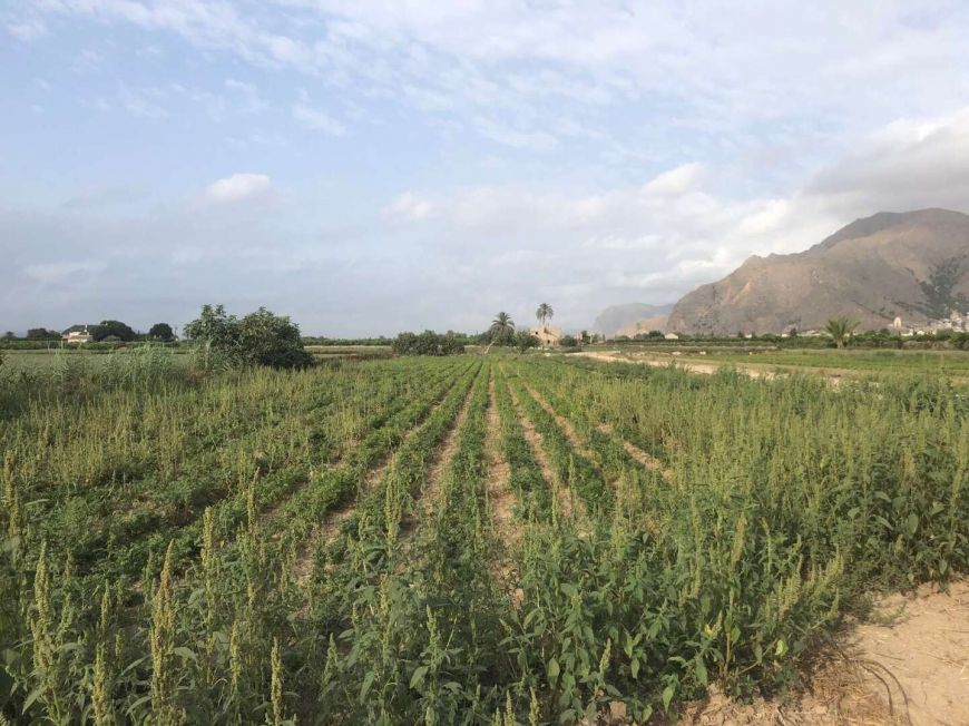 Španělsko Země Dům Callosa de Segura Alicante