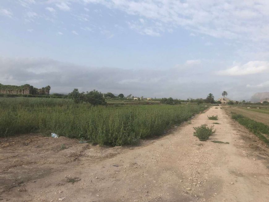 Испания Country House Callosa de Segura Alicante