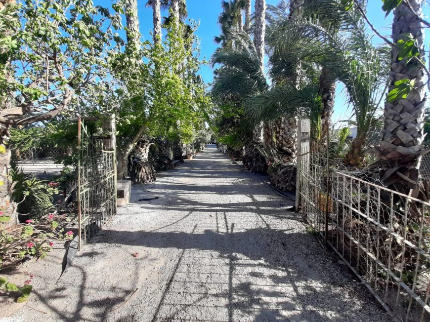 Španělsko Investment project Orihuela Alicante