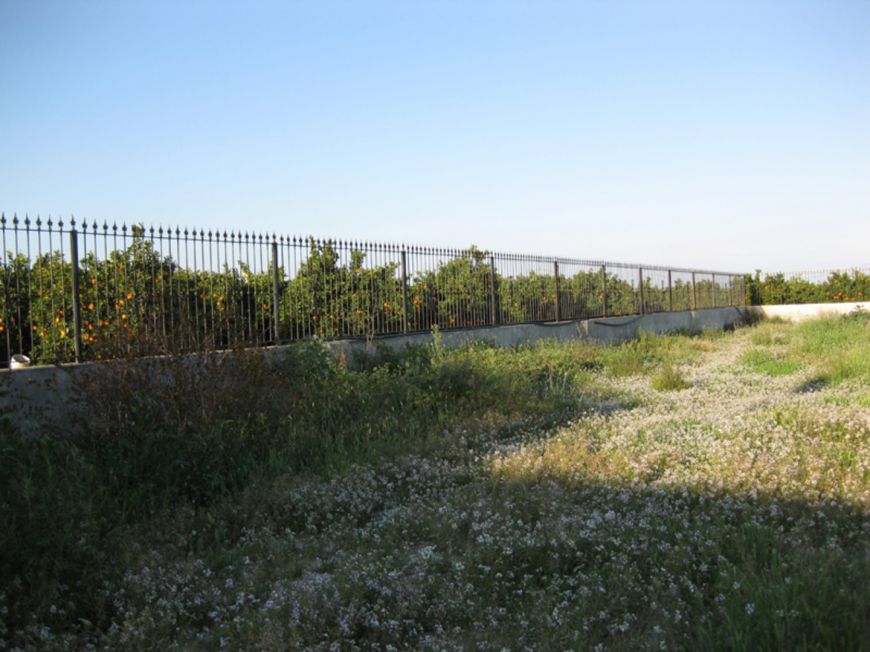 España Detached villa Benferri Alicante