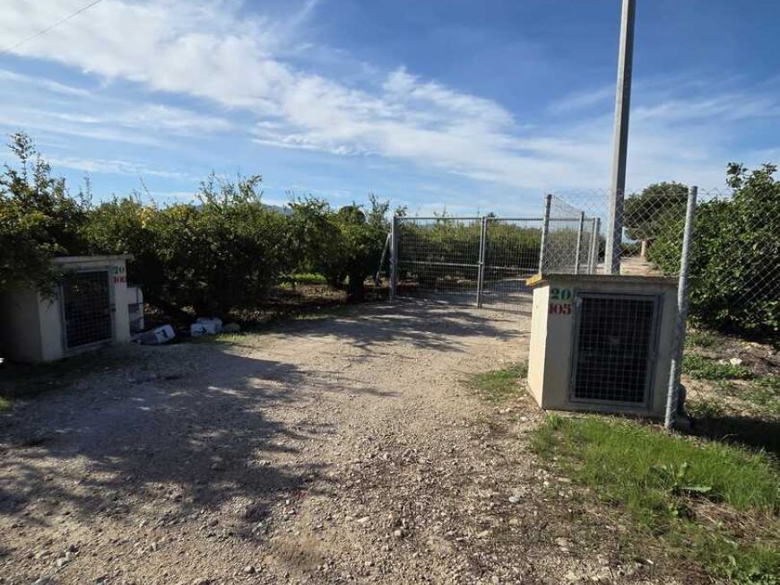 Испания Country House Albatera Alicante