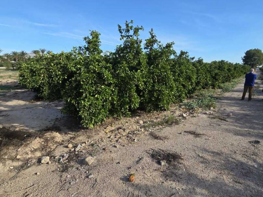 Španělsko Země Dům Albatera Alicante