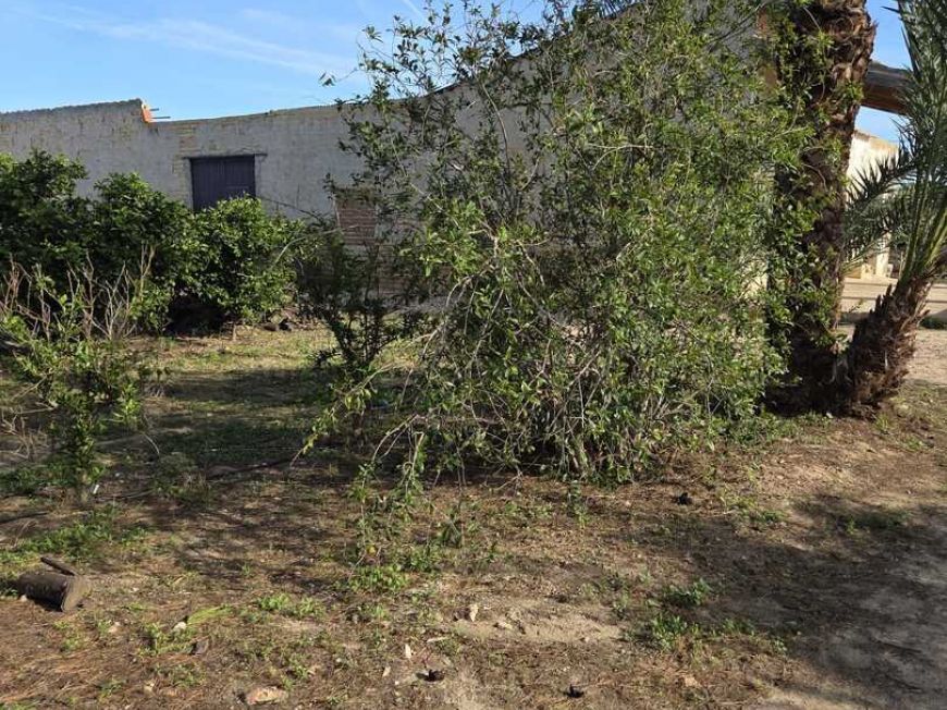 Španělsko Země Dům Albatera Alicante