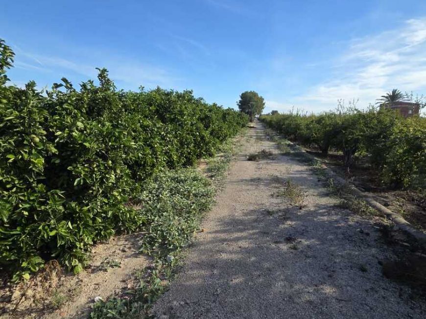 Španělsko Země Dům Albatera Alicante