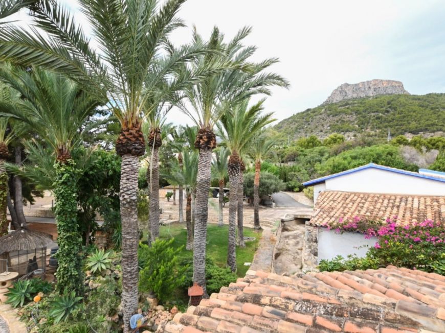 Espagne Farm Calpe Alicante