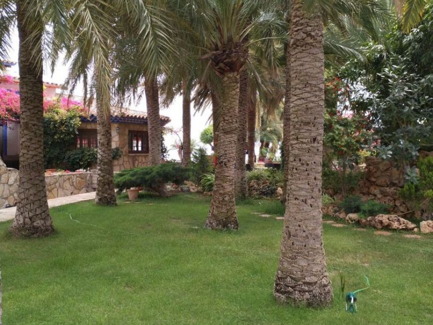 Espagne Farm Calpe Alicante